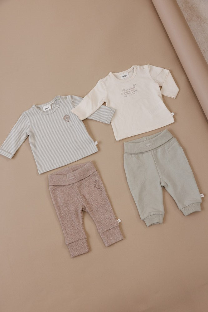 Unisexs Longsleeve streep - Fall Favorites van Feetje in de kleur Groen in maat 62.