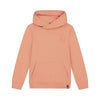 Skurk Hoodie Basic Sil