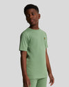 Jongens Plain T-shirt van Lyle & Scott in de kleur X576 Smoke Green in maat 170-176.