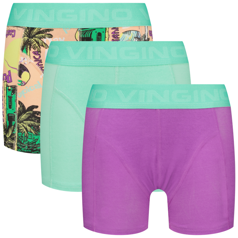 Vingino Boxershorts Leaves 3 pack
