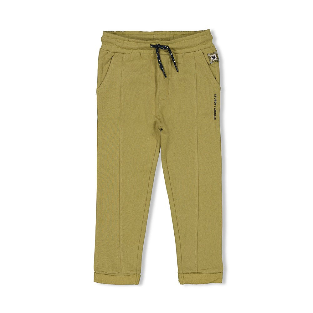 Jongens Broek - Coastal Cool van Sturdy in de kleur Groen in maat 128.