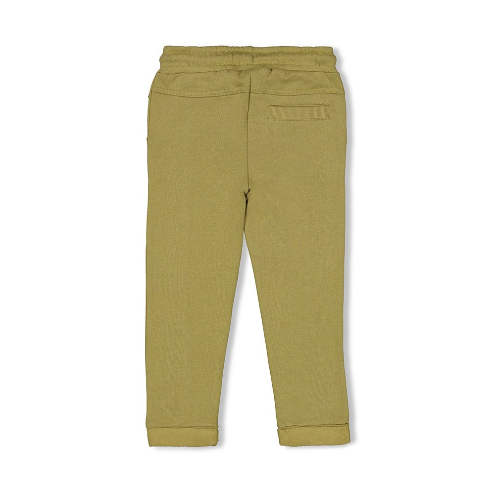 Jongens Broek - Coastal Cool van Sturdy in de kleur Groen in maat 128.