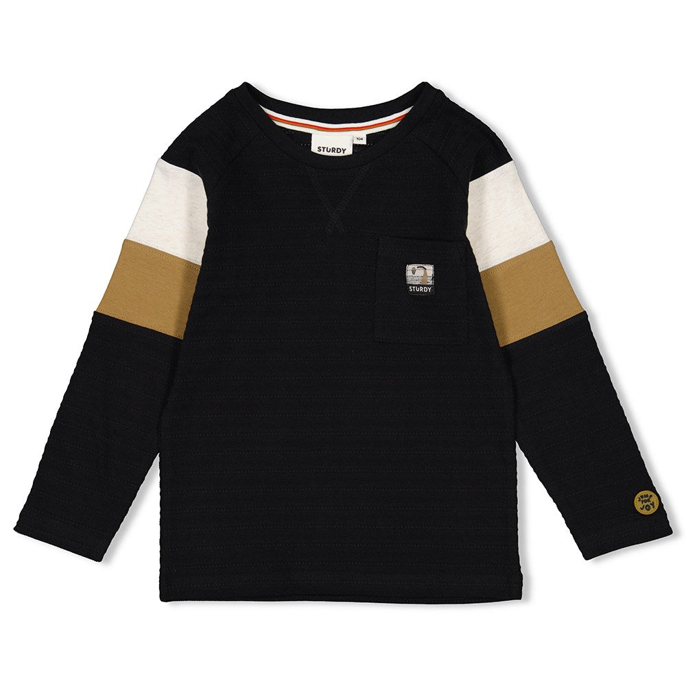 Sturdy Longsleeve - Jump For Joy