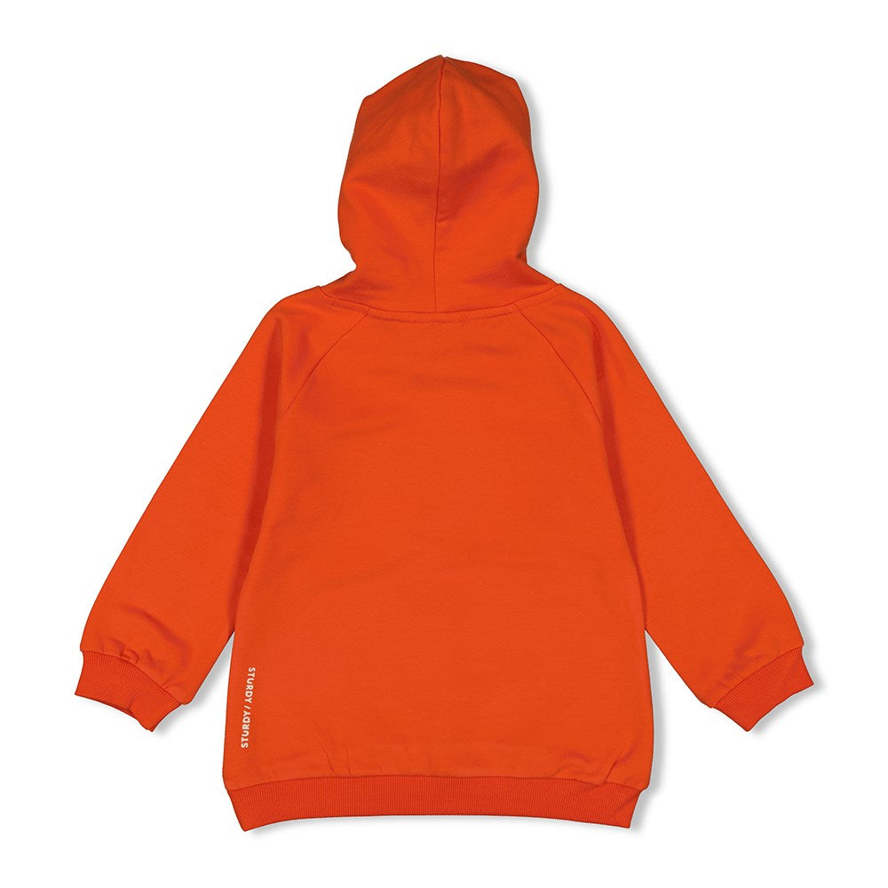 Jongens Hoody - Jump For Joy van Sturdy in de kleur Oranje in maat 128.