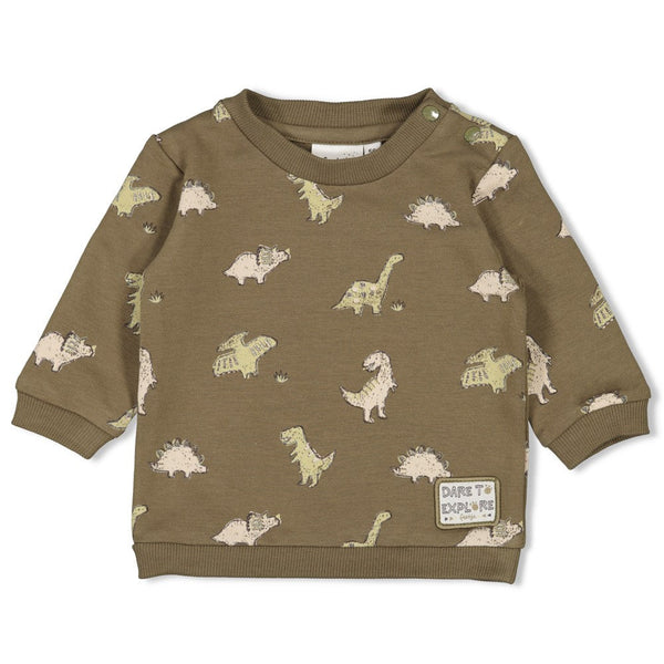 Jongens Sweater AOP - Rawrsome van Feetje in de kleur Groen in maat 86.