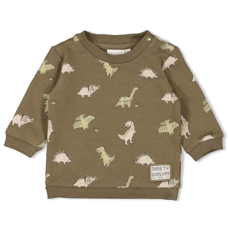 Jongens Sweater AOP - Rawrsome van Feetje in de kleur Groen in maat 86.