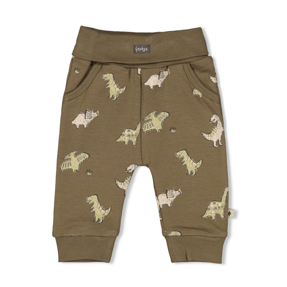 Jongens Broek AOP - Rawrsome van Feetje in de kleur Groen in maat 86.