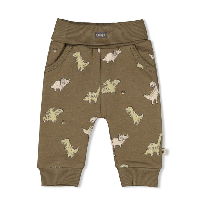 Jongens Broek AOP - Rawrsome van Feetje in de kleur Groen in maat 86.