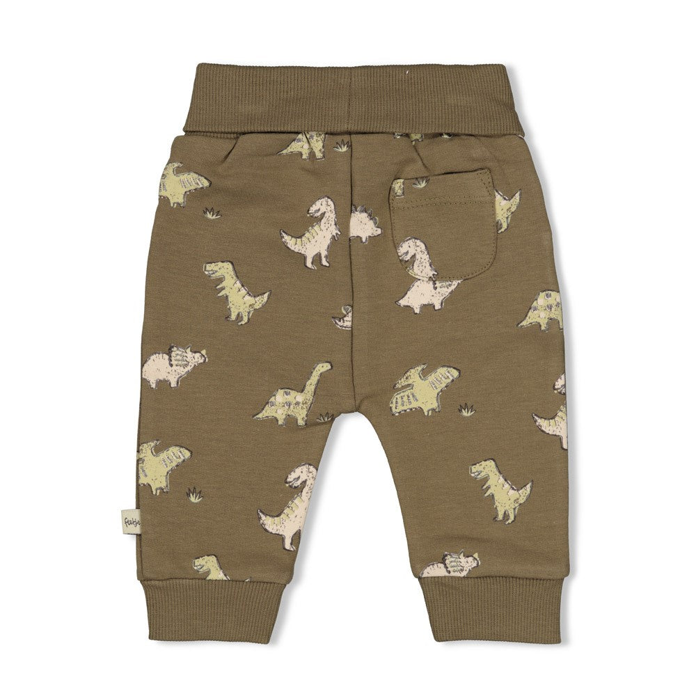 Jongens Broek AOP - Rawrsome van Feetje in de kleur Groen in maat 86.