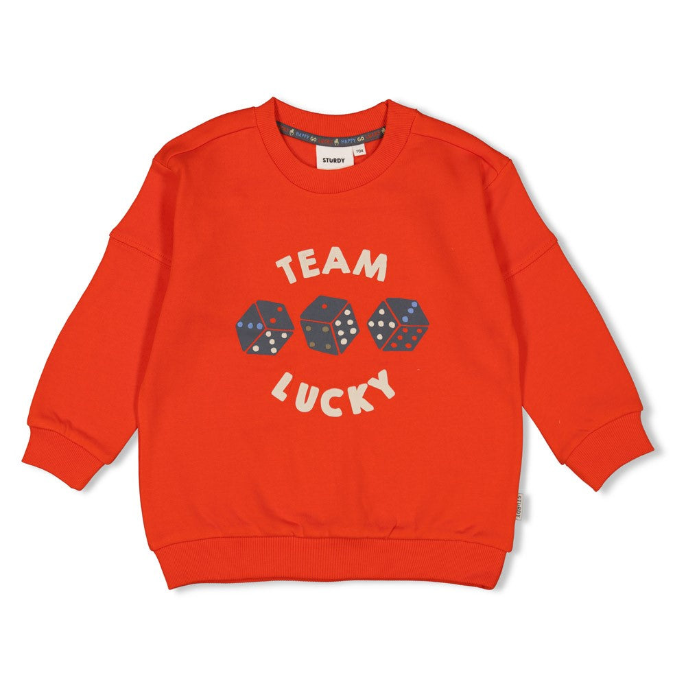 Sturdy Sweater - Couch Club