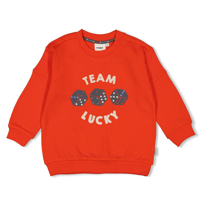 Sturdy Sweater - Couch Club