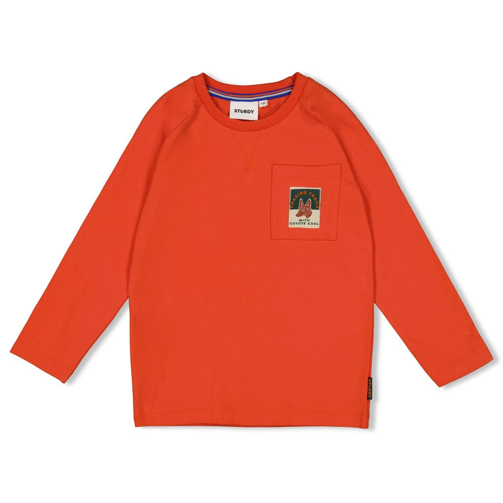 Sturdy Longsleeve - Chasing Trails