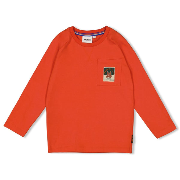Sturdy Longsleeve - Chasing Trails