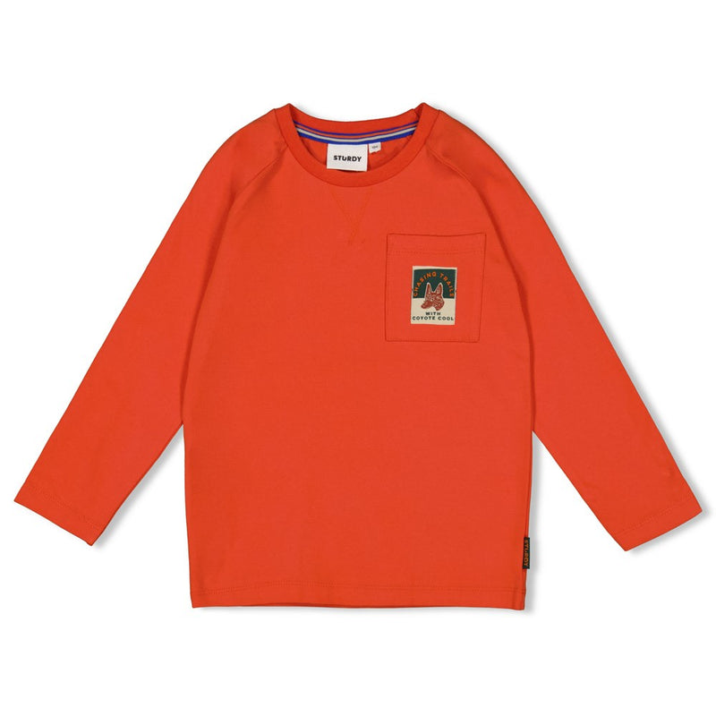 Sturdy Longsleeve - Chasing Trails