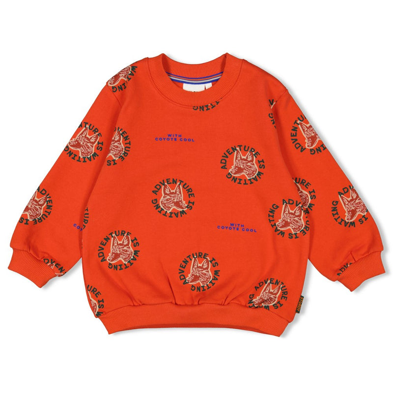 Sturdy Sweater AOP - Chasing Trails