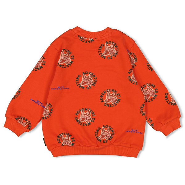 Sturdy Sweater AOP - Chasing Trails