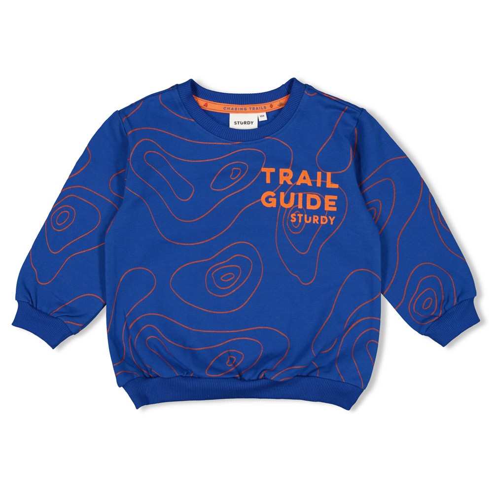 Sturdy Sweater AOP - Chasing Trails