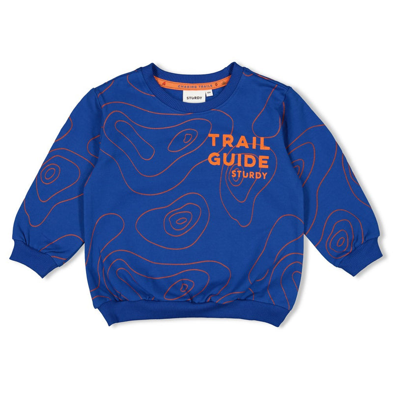 Sturdy Sweater AOP - Chasing Trails
