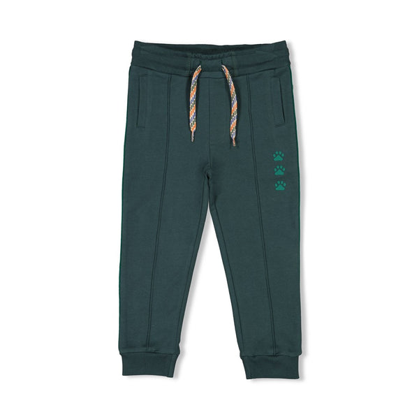 Sturdy Broek - Chasing Trails