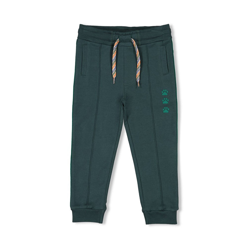 Sturdy Broek - Chasing Trails