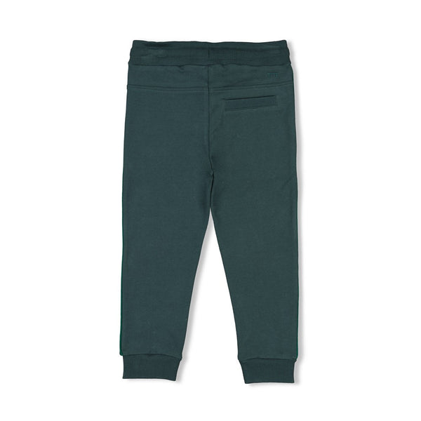 Sturdy Broek - Chasing Trails