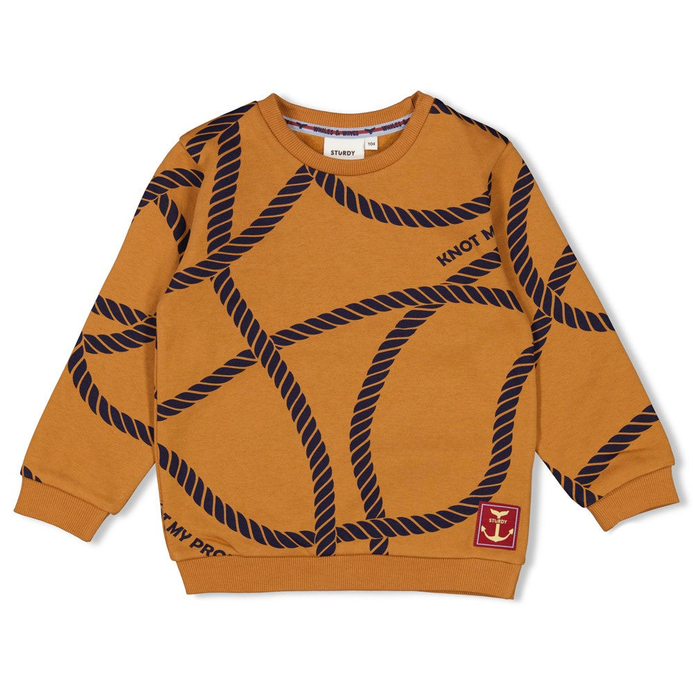 Sturdy Sweater AOP - Waves and Whales