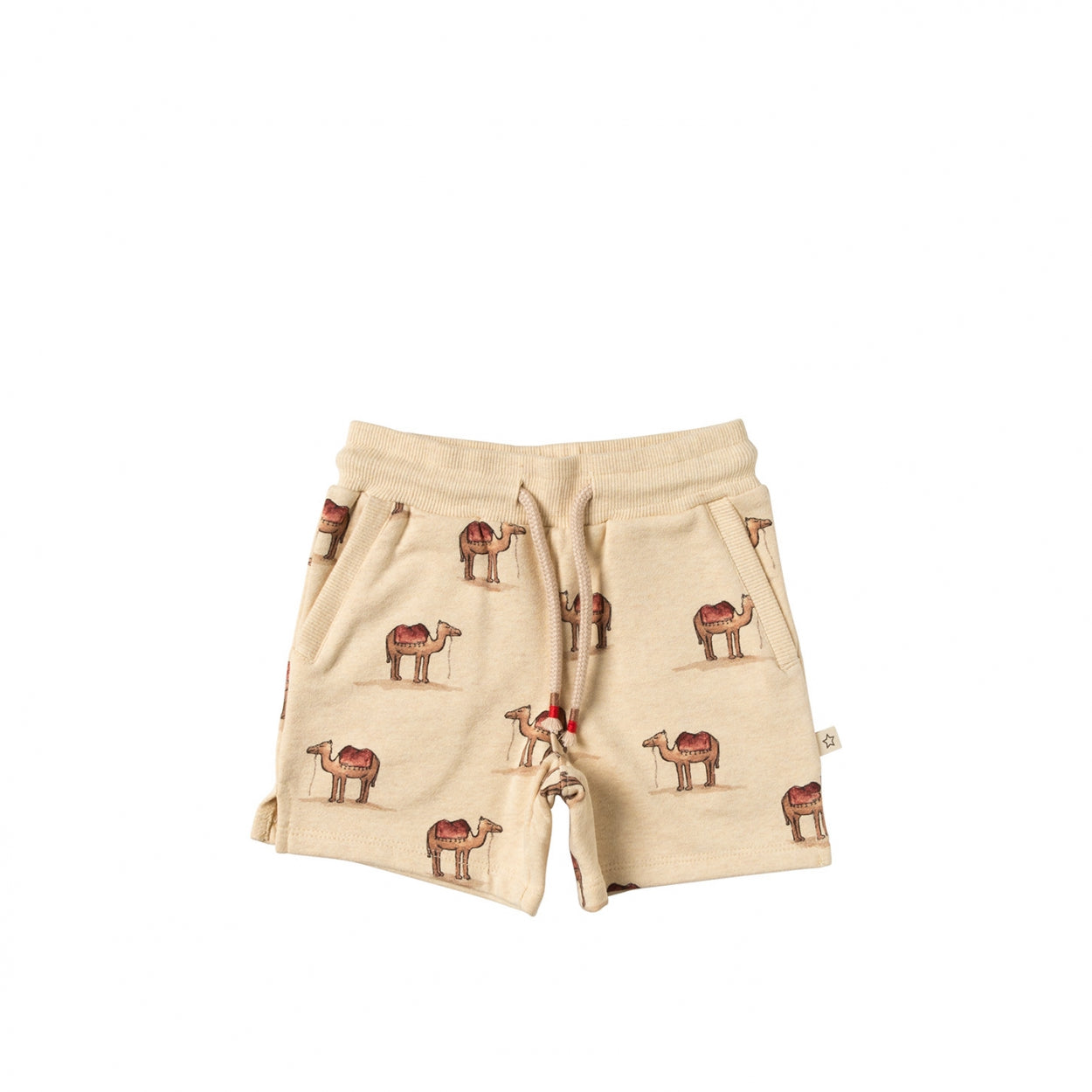 Your Wishes Sweatshort Camels | Elon
