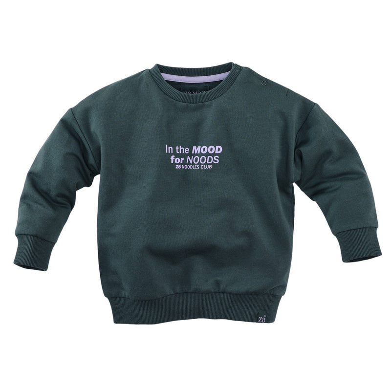 Jongens Sweater Jurgen van Z8 Mini in de kleur Seafoam Shadow in maat 116.