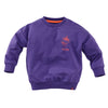 Jongens Sweater Teun van Z8 Mini in de kleur Purpureus in maat 116.