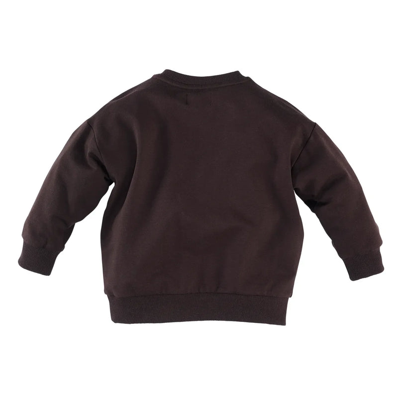 Jongens Sweater Janoah van Z8 Mini in de kleur Chocolate plum in maat 116.