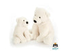 Jellycat IJsbeer Perry Knuffels .