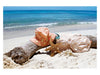 L‰ssig Zonnehoedje Sun Accessoires 68