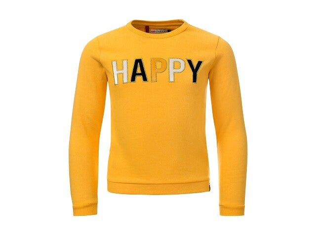 Little Looxs Sweater Happy Sweaters 116