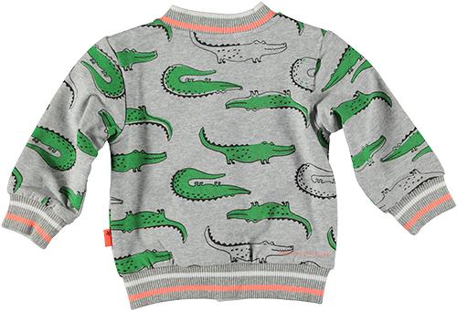 Baby Jongens Cardigan Reversible Crocodile van B.E.S.S. in de kleur Grey in maat 68.