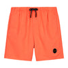 Shiwi boys swim short recycled mike solid micro peach