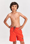 Shiwi boys swimshort magic crab