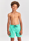 Shiwi boys swimshort magic crab