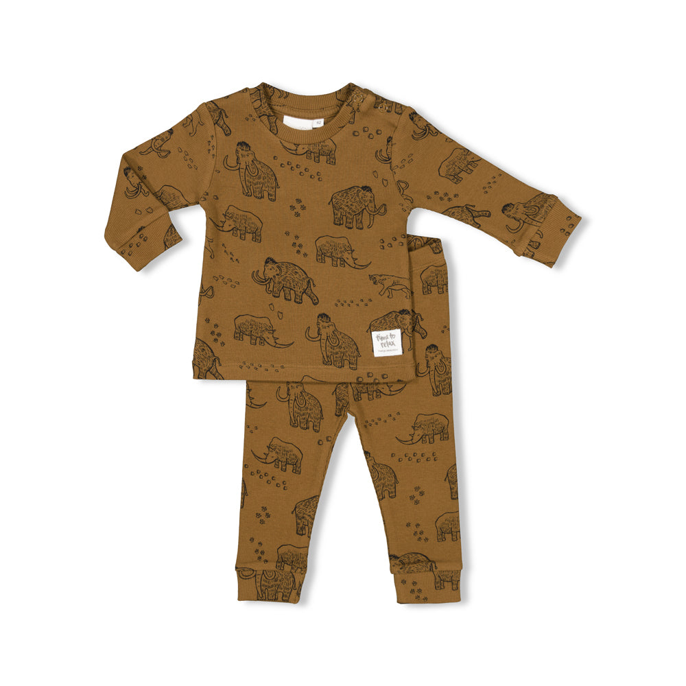 Jongens Marty Mammoth - Premium Sleepwear by FEETJE van Feetje in de kleur Bruin in maat 86.