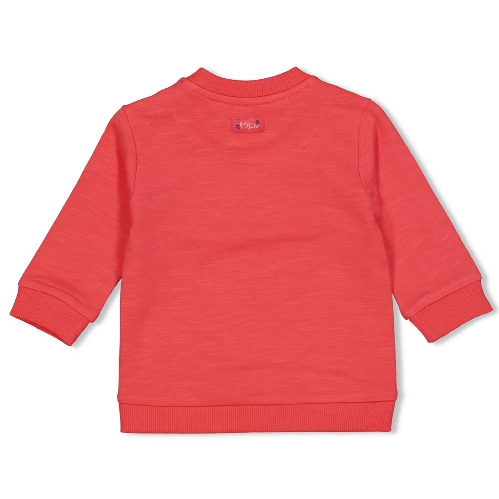 Meisjes Sweater - Cherry Sweetness van Feetje in de kleur Rood in maat 68.