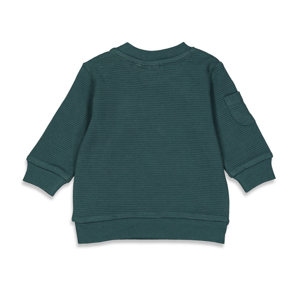 Jongens Sweater - Family van Feetje in de kleur Teal in maat 68.