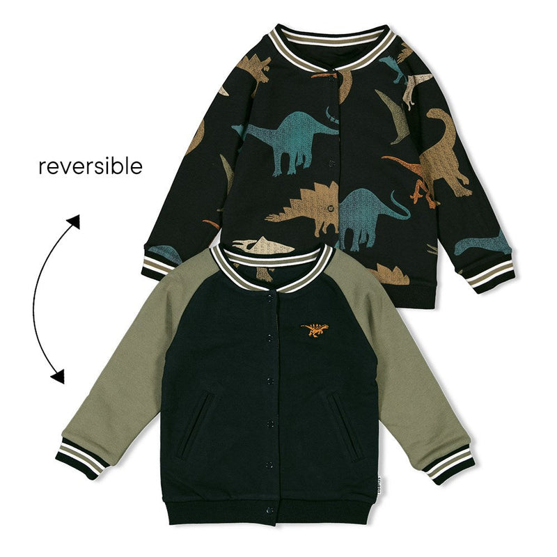 Jongens Omkeerbaar vest - He Ho Dino van Sturdy in de kleur Antraciet in maat 128.