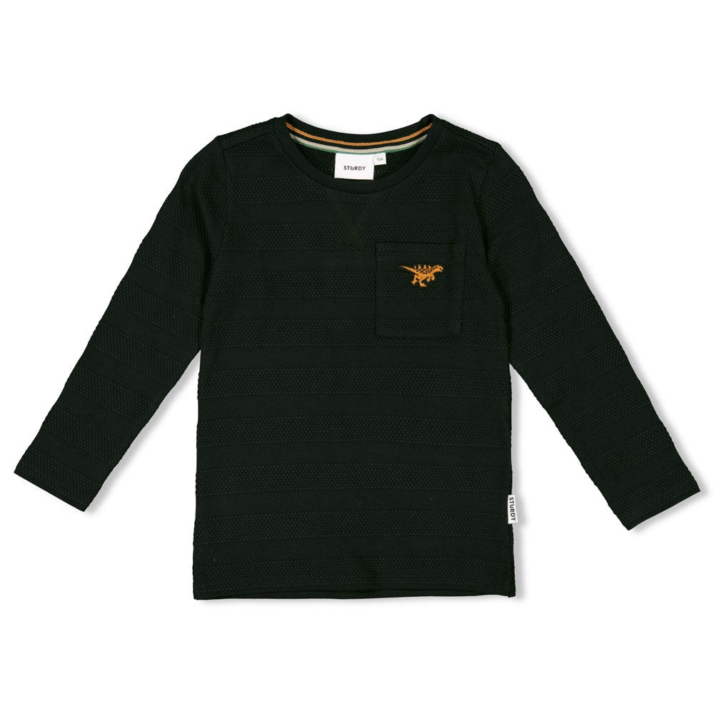 Sturdy Longsleeve - He Ho Dino