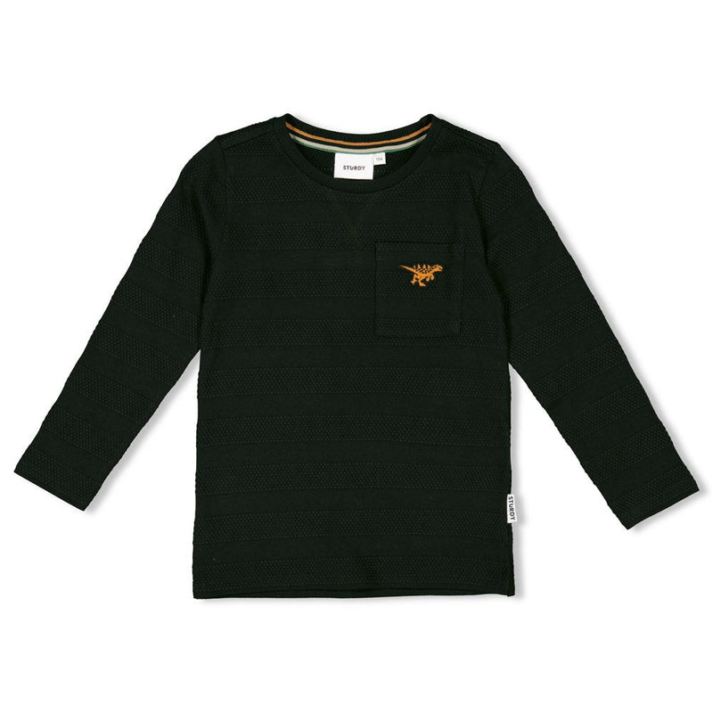 Jongens Longsleeve - He Ho Dino van Sturdy in de kleur Antraciet in maat 128.