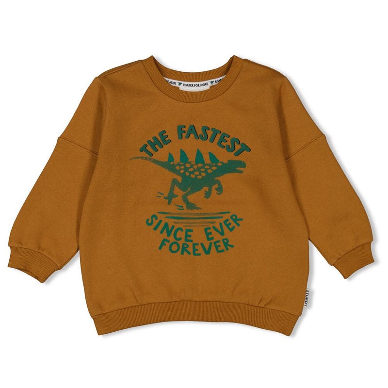 Jongens Sweater - He Ho Dino van Sturdy in de kleur Bruin in maat 128.