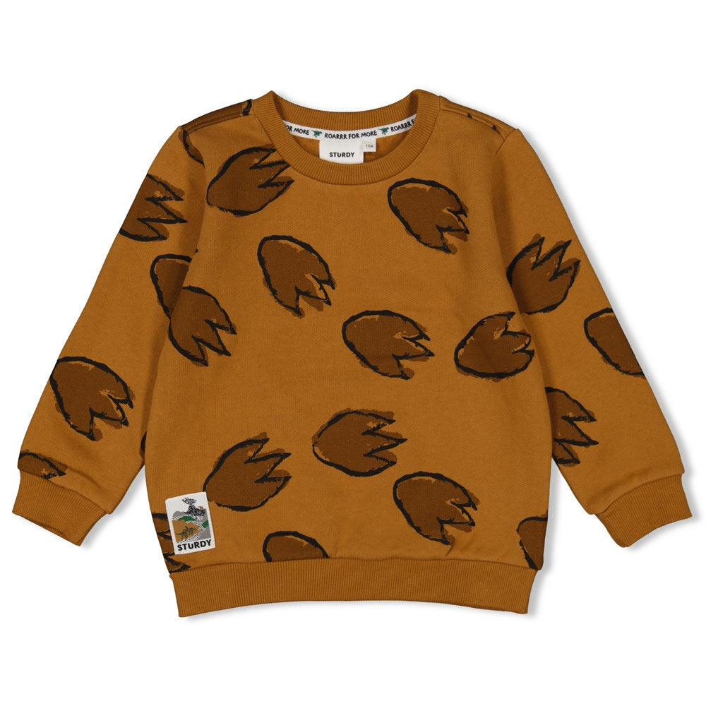 Sturdy Sweater AOP - He Ho Dino