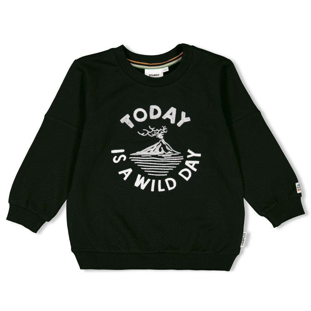 Sturdy Sweater - He Ho Dino