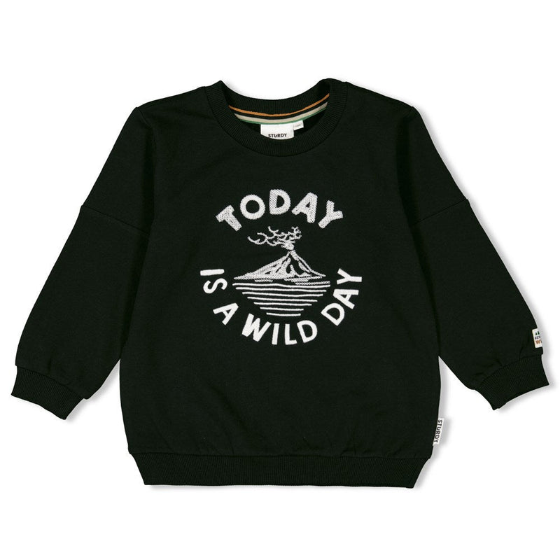 Jongens Sweater - He Ho Dino van Sturdy in de kleur Antraciet in maat 128.