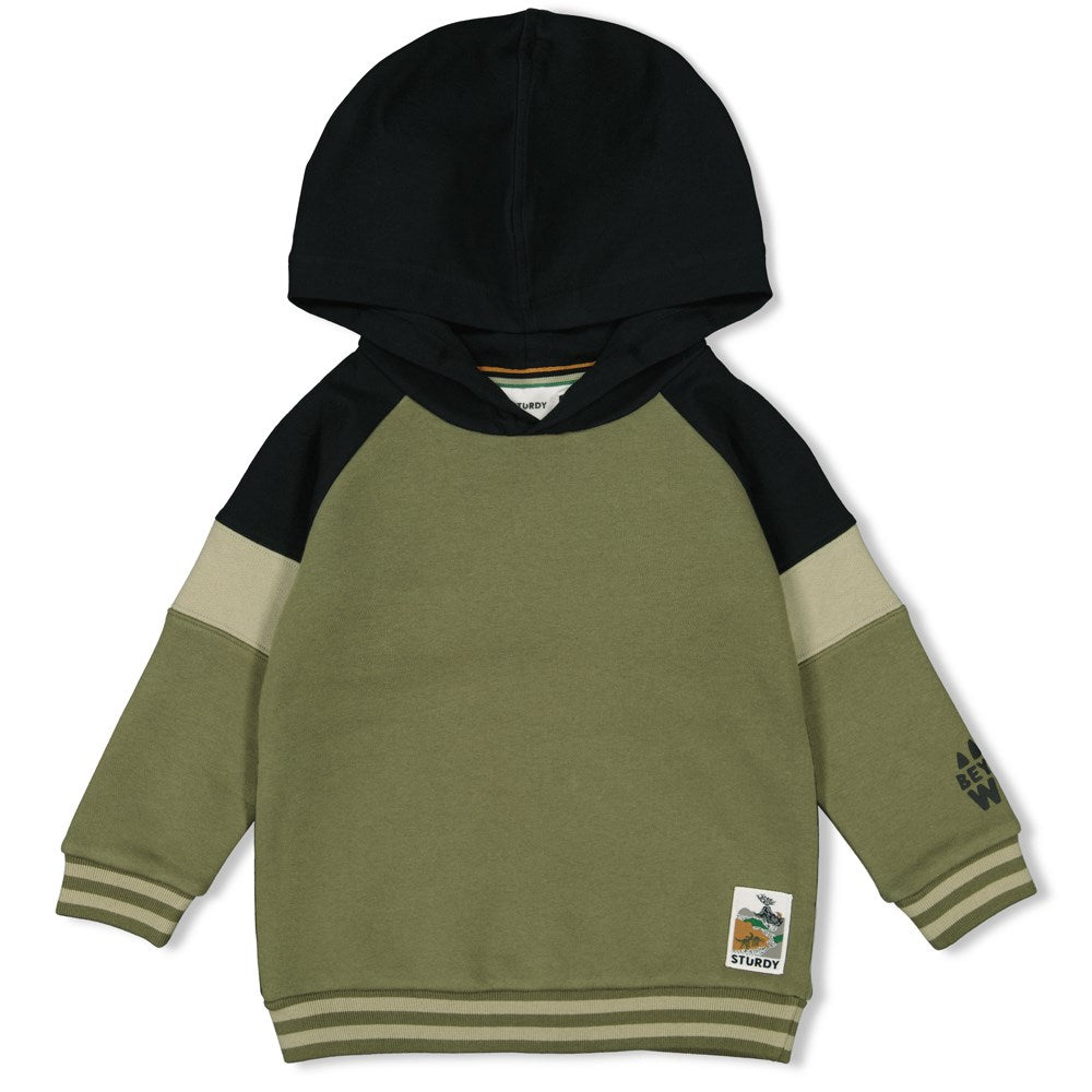 Sturdy Hoody - He Ho Dino