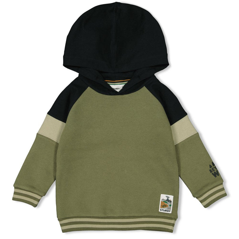 Jongens Hoody - He Ho Dino van Sturdy in de kleur Army in maat 128.