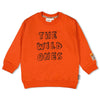 Jongens Sweater - Fly Wild van Sturdy in de kleur Rood in maat 128.
